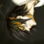 :iconurban-raptor:
