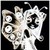 :iconurban-sidhe:
