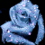 :iconurfavebhl: