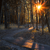 :iconuriahgalleries: