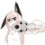 :iconurikikitty: