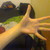 :iconurikun0x1: