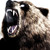 :iconursa-magnus: