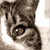 :iconurst08-15:
