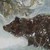 :iconursus-argentum: