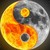 :iconurtemplar: