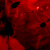 :iconurthvt: