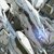 :iconusaf713:
