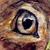 :iconuschibeckert: