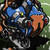 :iconusername-065: