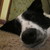 :iconusername-goes-herez: