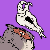 :iconusername1996: