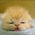 :iconusernames-eat-brains: