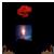 :iconushadawnfeather: