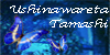 :iconushinawareta-tamashi: