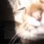 :iconusmcmarine: