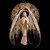 :iconusmovers02: