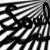 :iconusuario006: