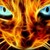 :iconusudekin: