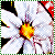 :iconuthopia:
