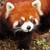 :iconutug303: