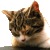 :iconuvadtmfub: