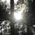 :iconuzuchi-kibishii: