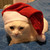:iconuzzdenus: