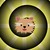 :iconv0ca1: