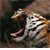:iconv1rtue: