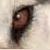 :iconv33tu: