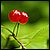 :iconv-llusion: