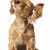 :iconva90tech: