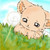 :iconvaan360: