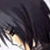 :iconvaaneessaa: