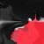 :iconvacantskies: