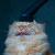 :iconvacuumcatplz: