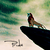 :iconvacuumofcharm1805: