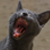 :iconvadim007: