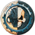 :iconvafeuerstein: