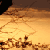 :iconvagabondando: