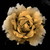 :iconvagia-papapostolou: