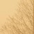 :iconvainv: