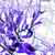 :iconvajjjt:
