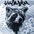 valaskawolf :iconvalaskawolf: