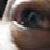 :iconvaldivious: