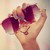 :iconvalee-editions123: