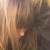 :iconvaleluu: