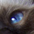 :iconvalentin0997: