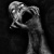 :iconvalentine-jade: